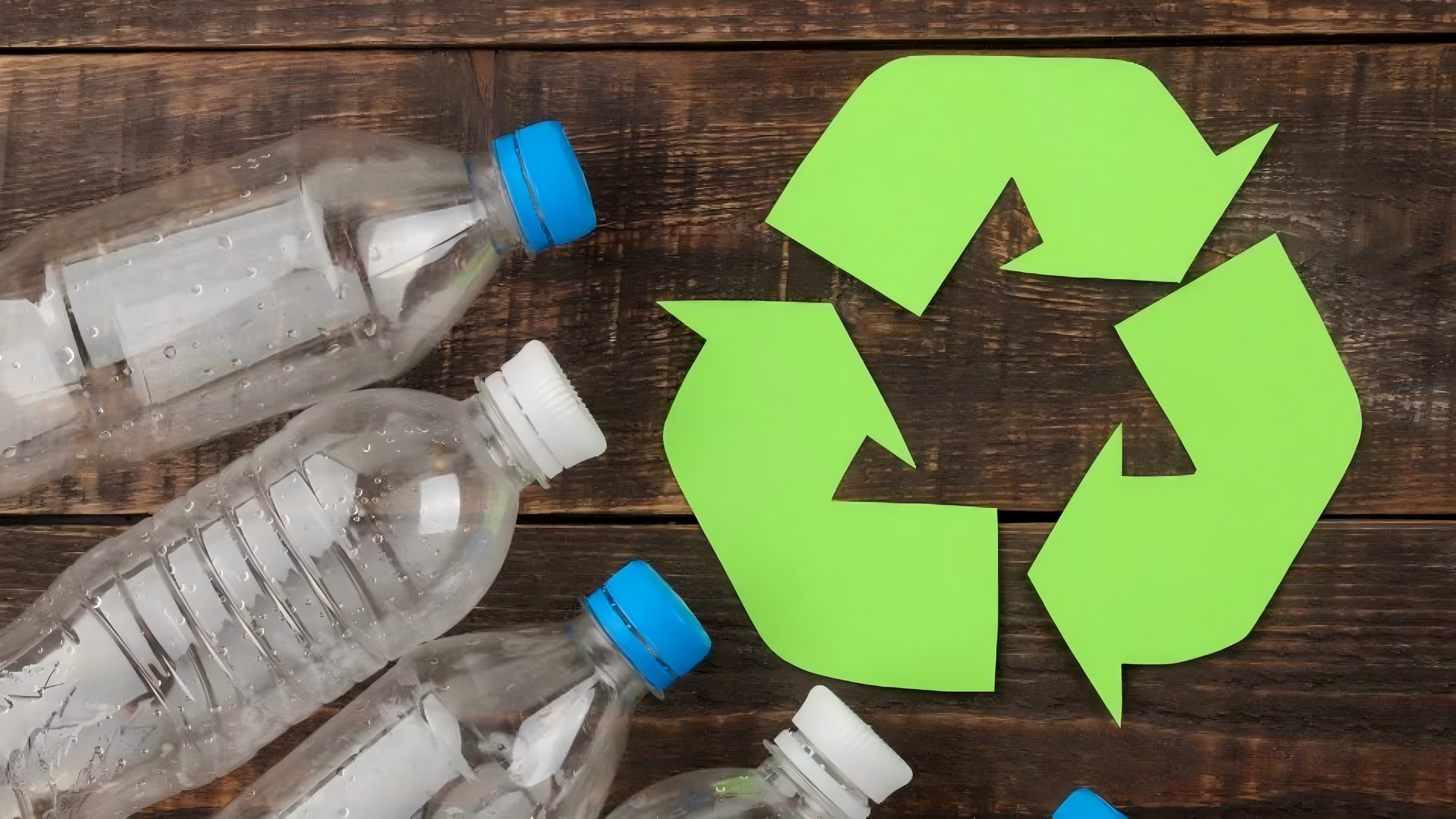 rPET Momentum Accelerates: Brands, Policy, and Capacity Expansion Drive PET Recycling Upgrades